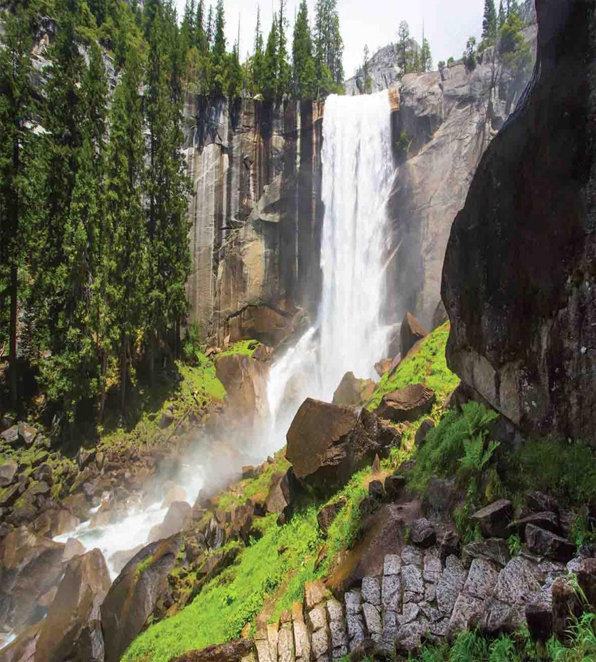 Yosemite National Park — Pattern