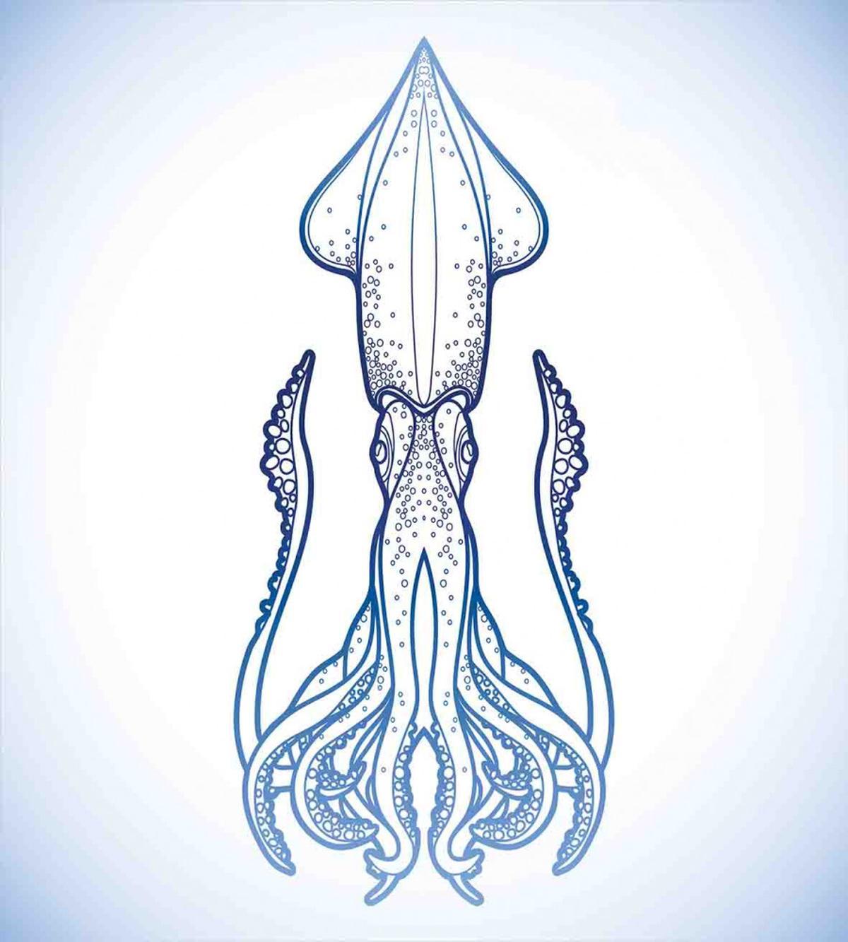 Nautical Marine Design — Pattern