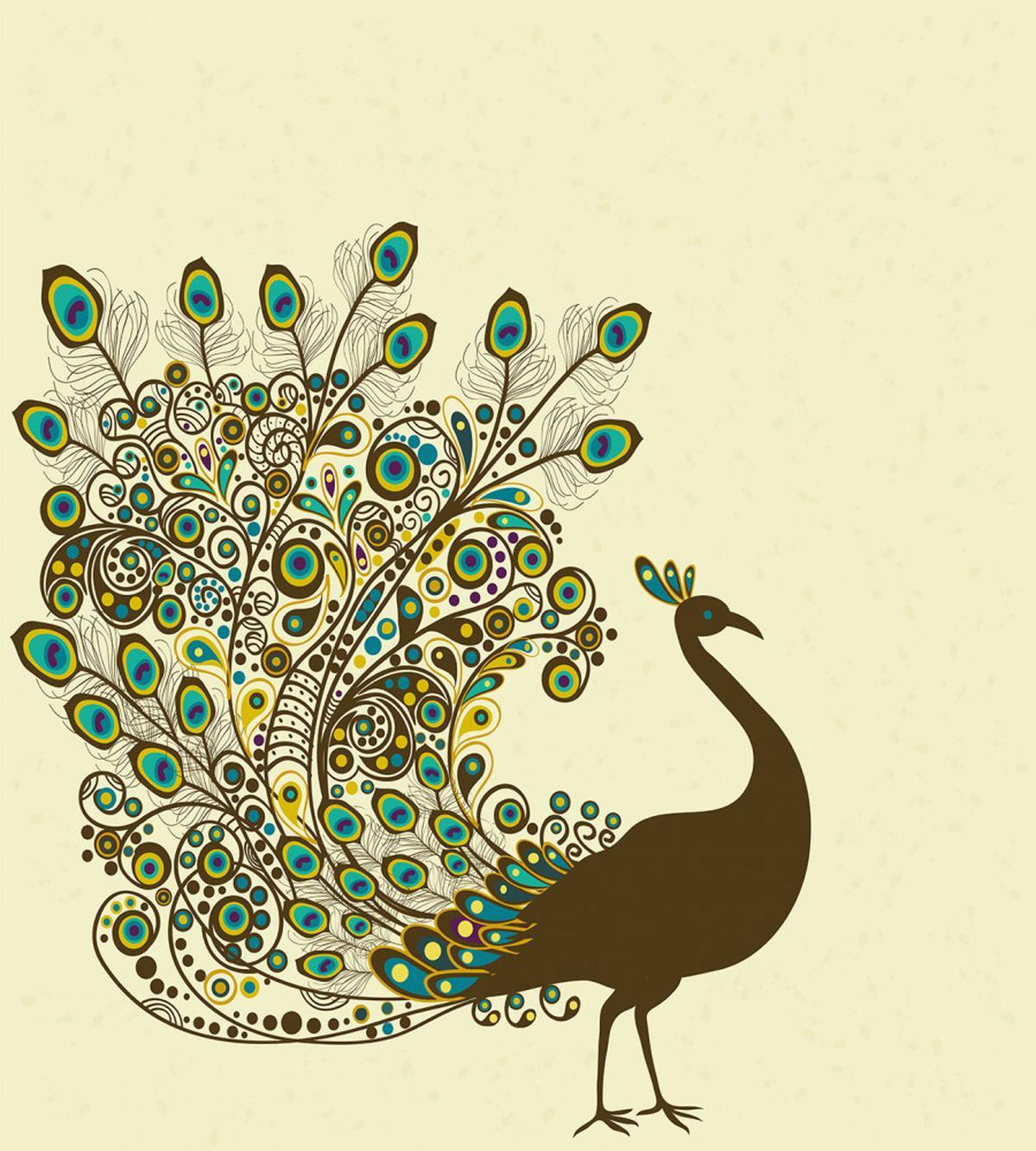 Peacock Bird Profile — Pattern