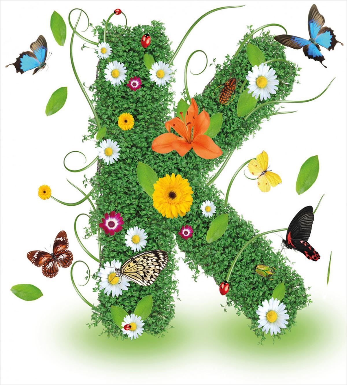 Nature Inspired Image — Pattern
