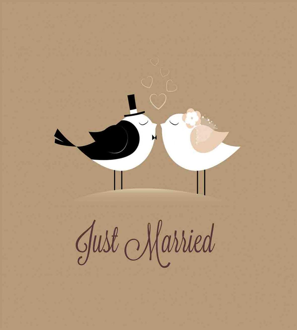 Just Married Birds Kiss — Pattern