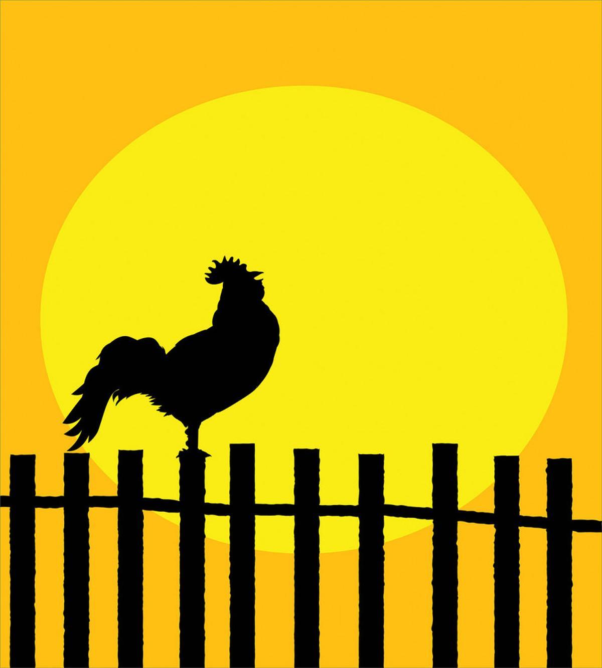 Rooster Silhouette Sunrise — Pattern