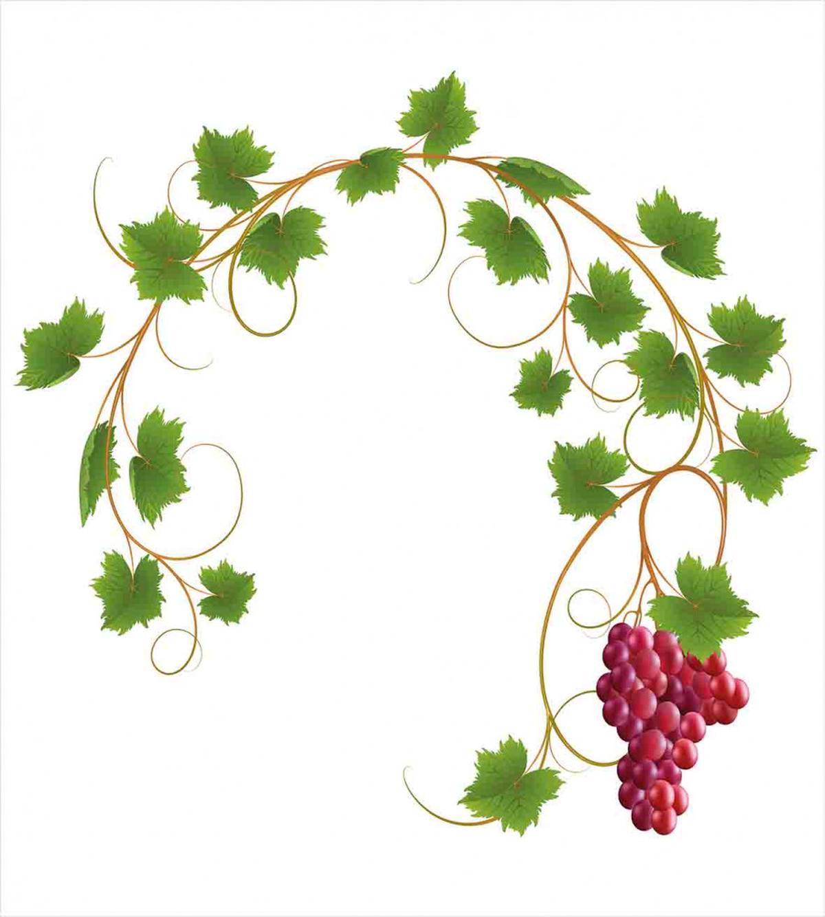 Cluster Ivy Fresh — Pattern