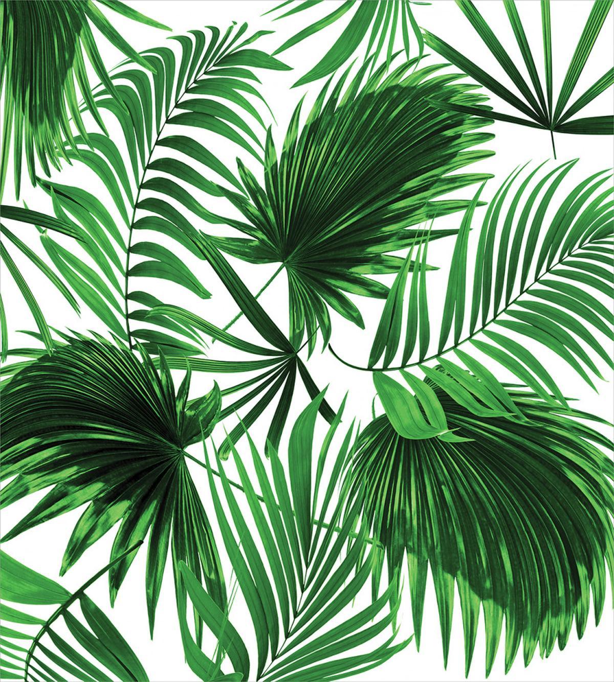 Vivid Leaves Growth — Pattern