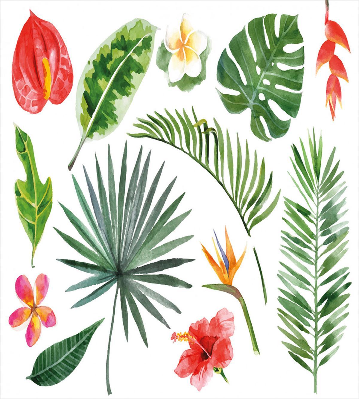 Heliconia Philodendron — Pattern