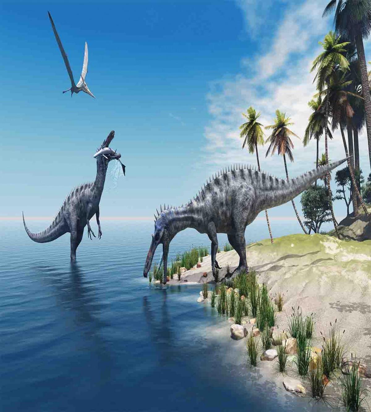 Wild Suchomimus Dinosaur — Pattern