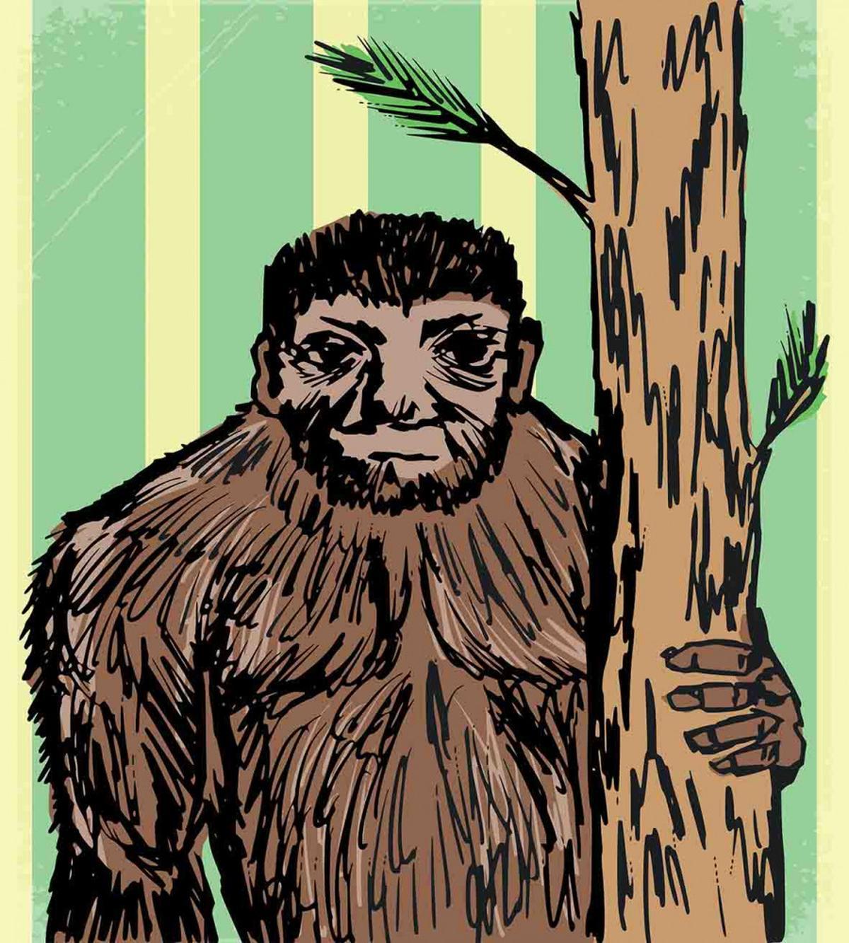 Mysterious Yeti Sketch — Pattern