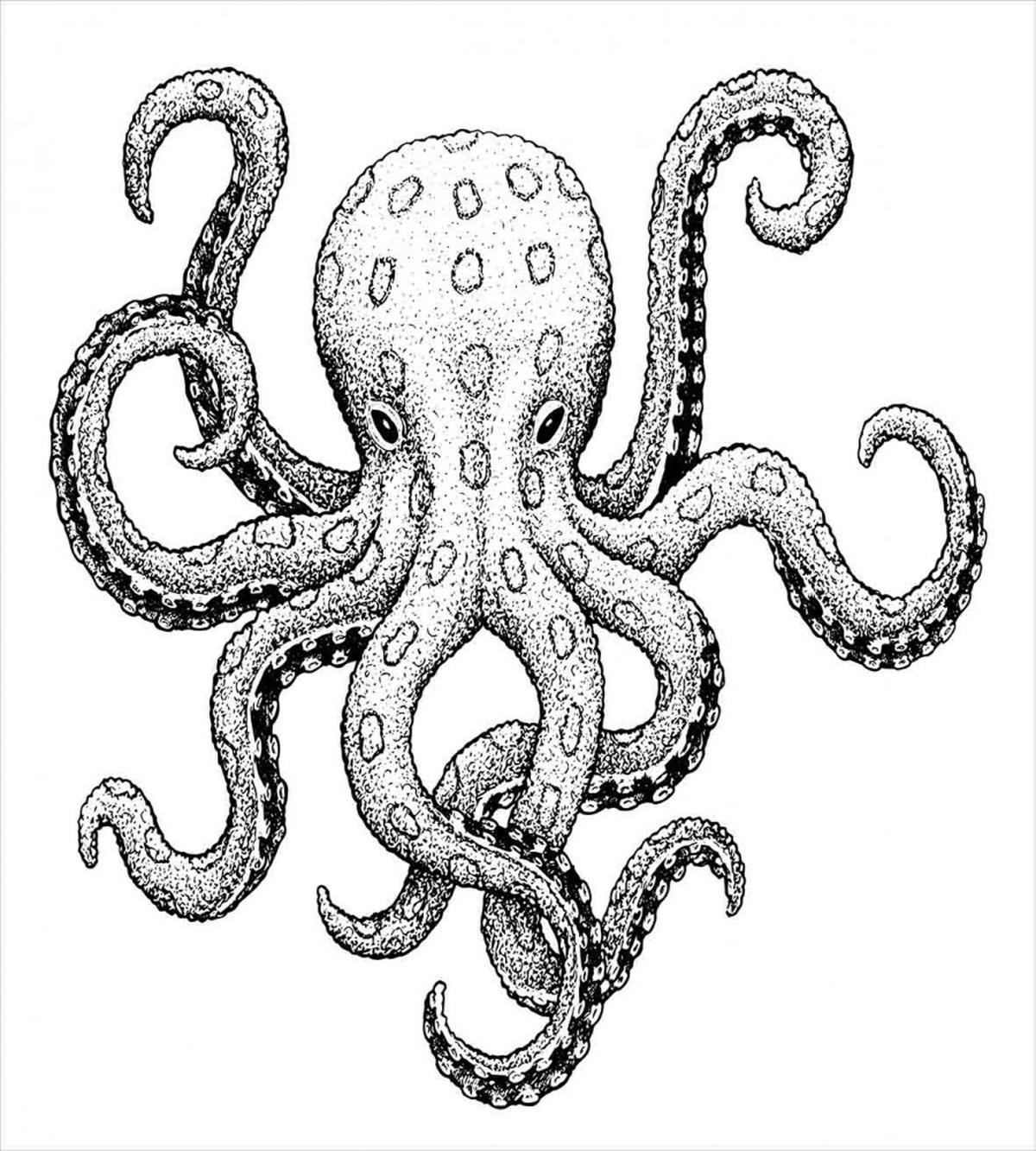 Sea Animal Artwork — Pattern