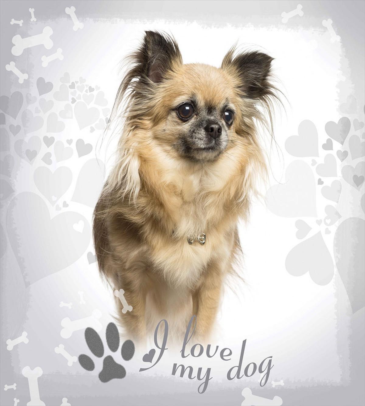 I Love My Dog Paw Print — Pattern
