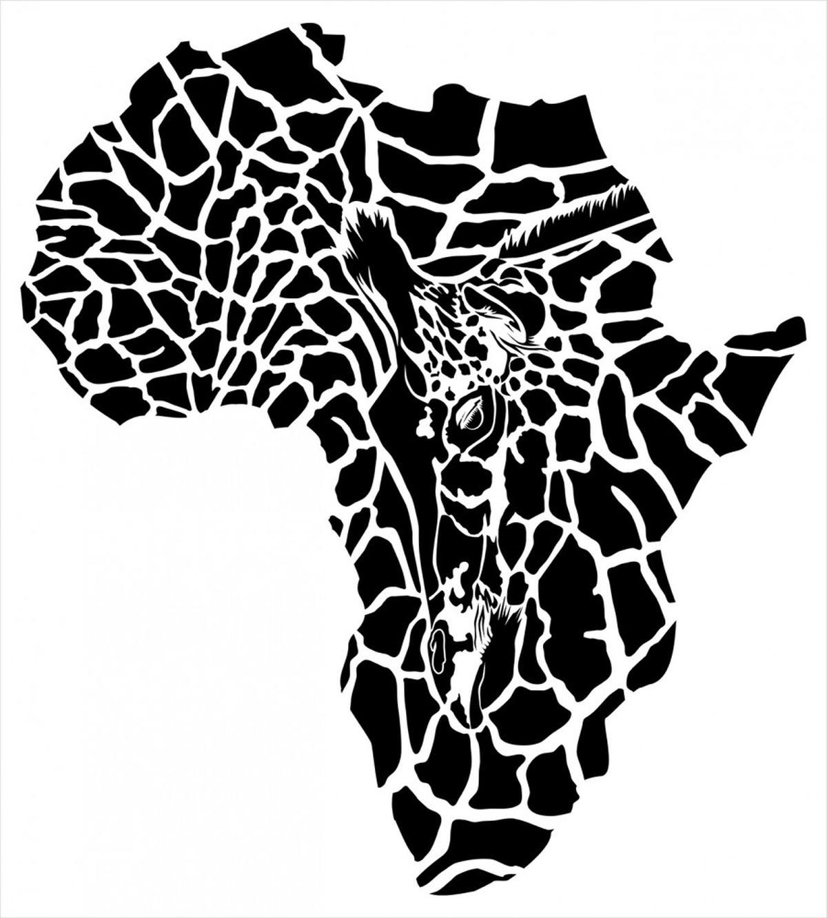 Wild Map — Pattern