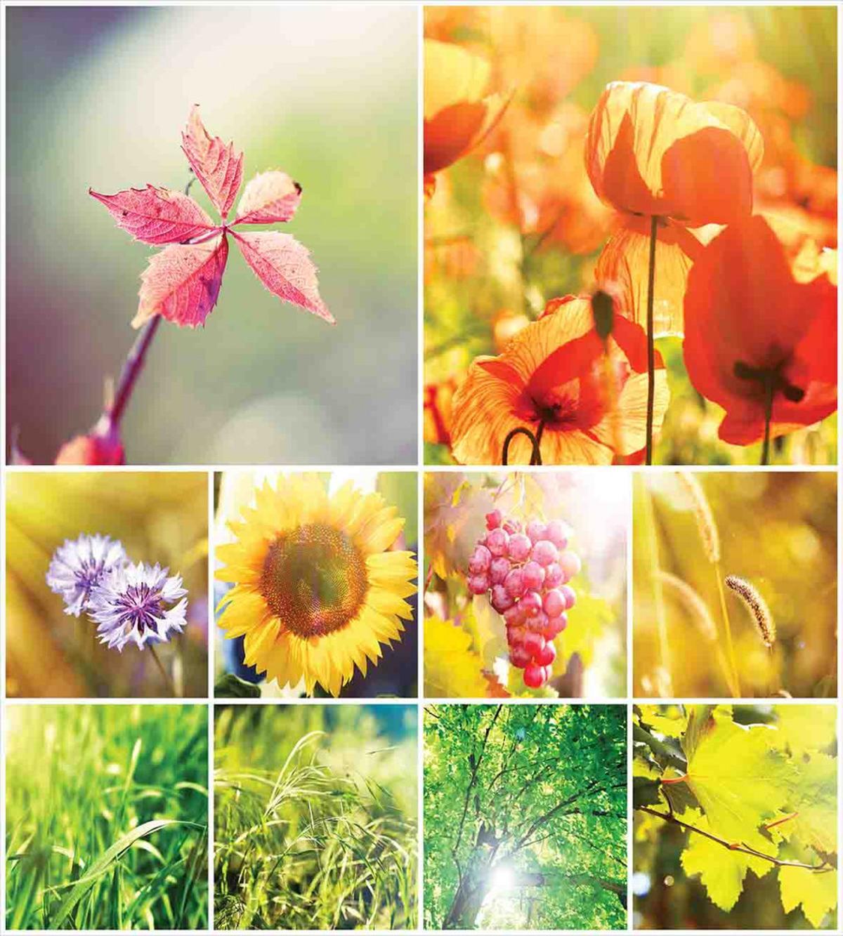 Flower Countryside View — Pattern