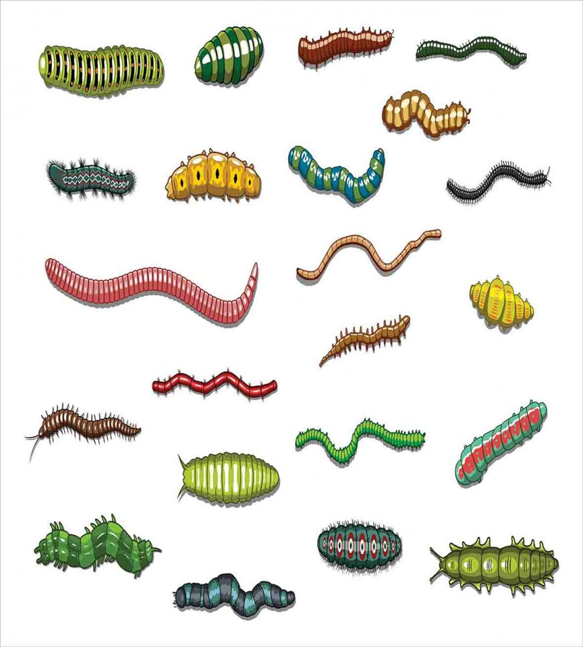 Cartoon Caterpillar — Pattern
