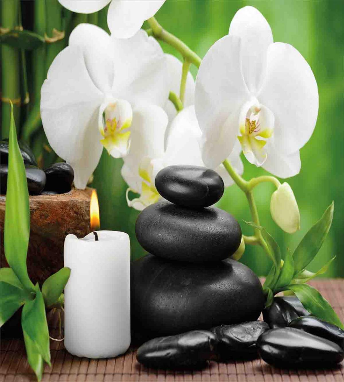 Orchids Stones Nature — Pattern