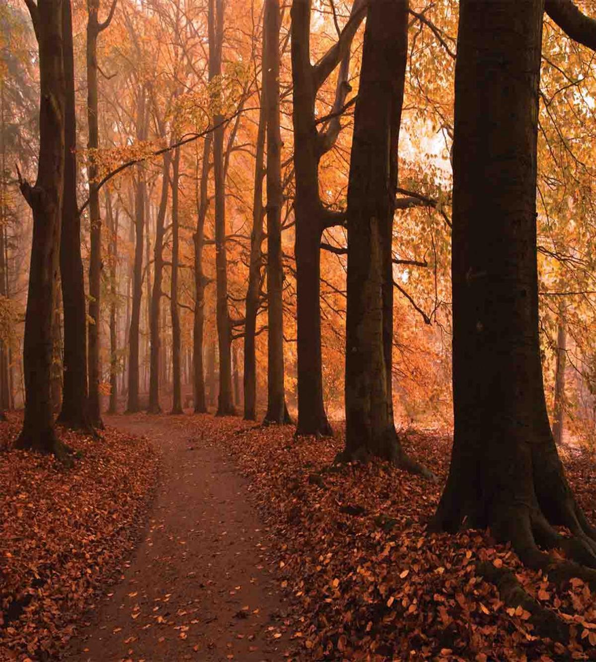 Fall Hiking Enchanted — Pattern