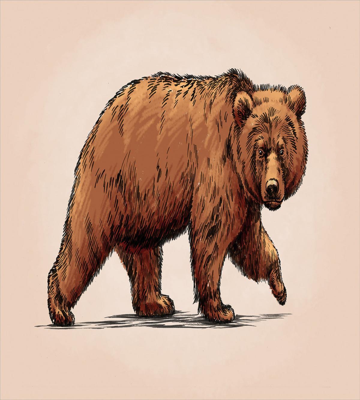 Ink Art Wildlife Beast — Pattern