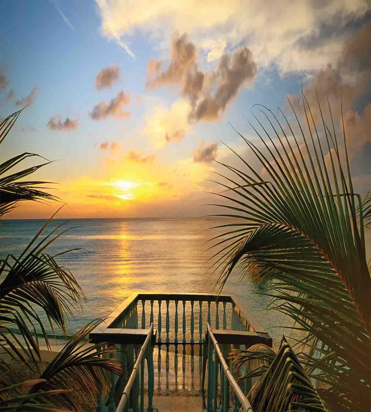 Palms Sunset Scenery — Pattern