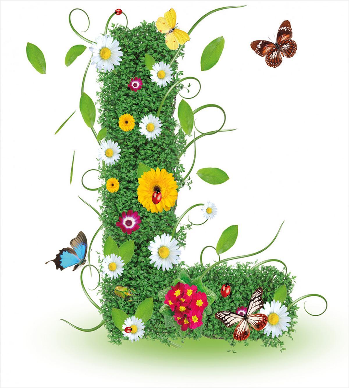 Flower Themed Image L — Pattern
