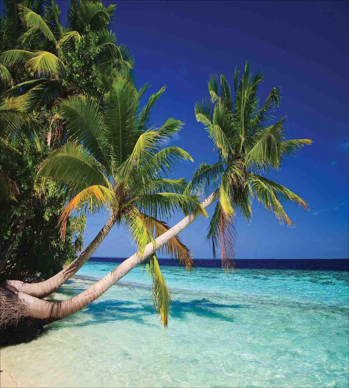 Maldives Bay Resort — Pattern