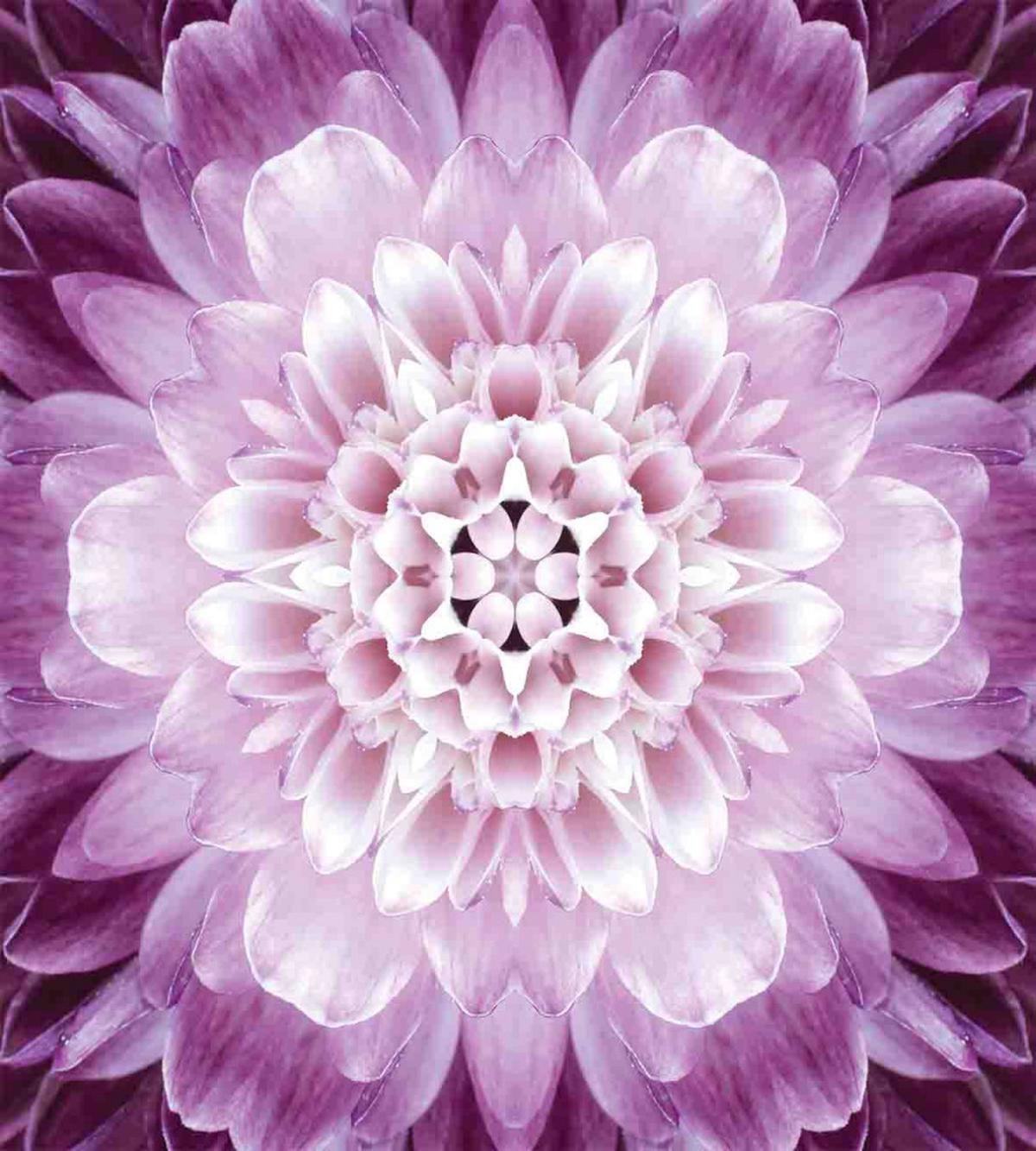 Fresh Spring Gardening — Pattern
