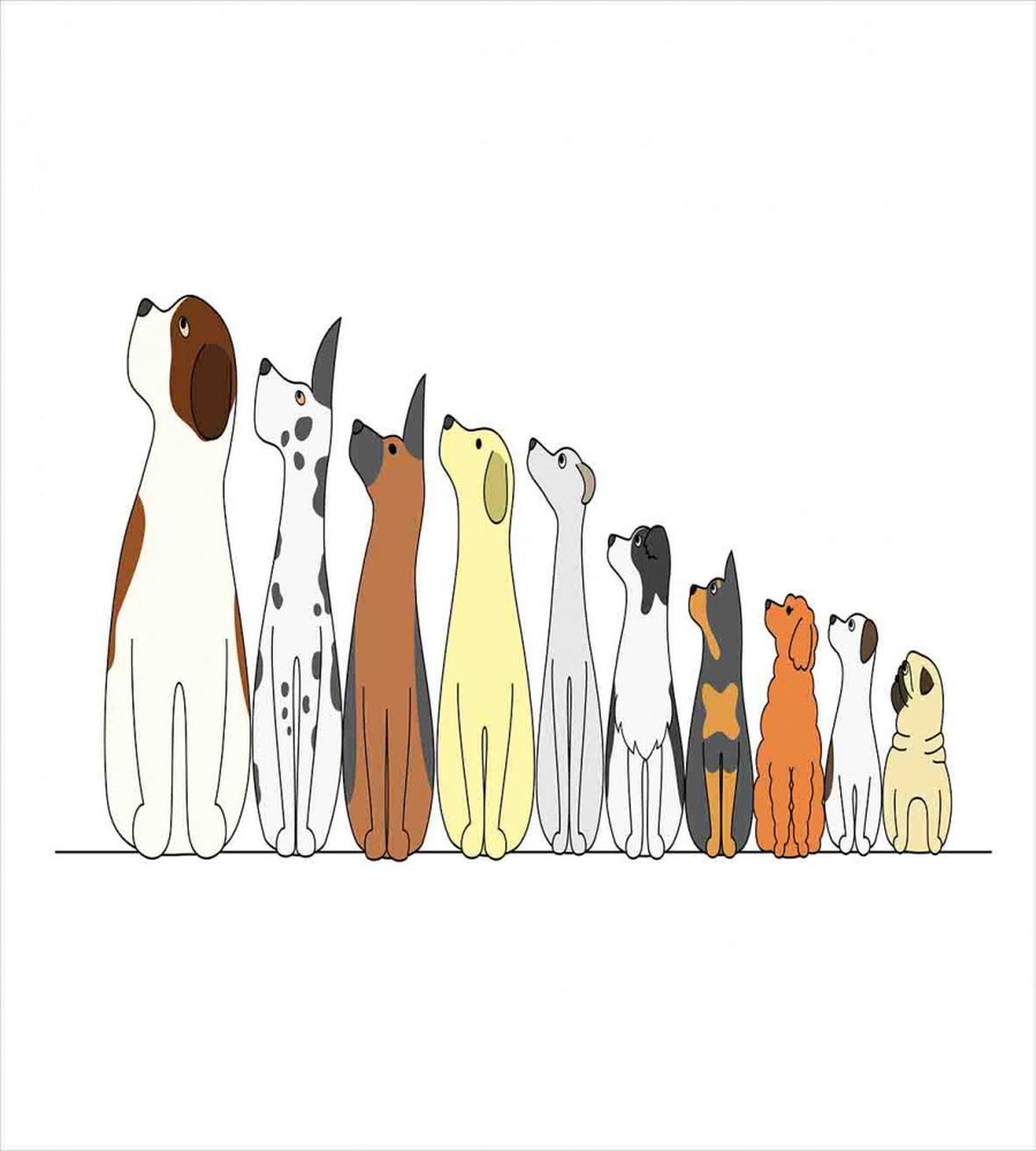Dogs in a Row Looking Away — Pattern