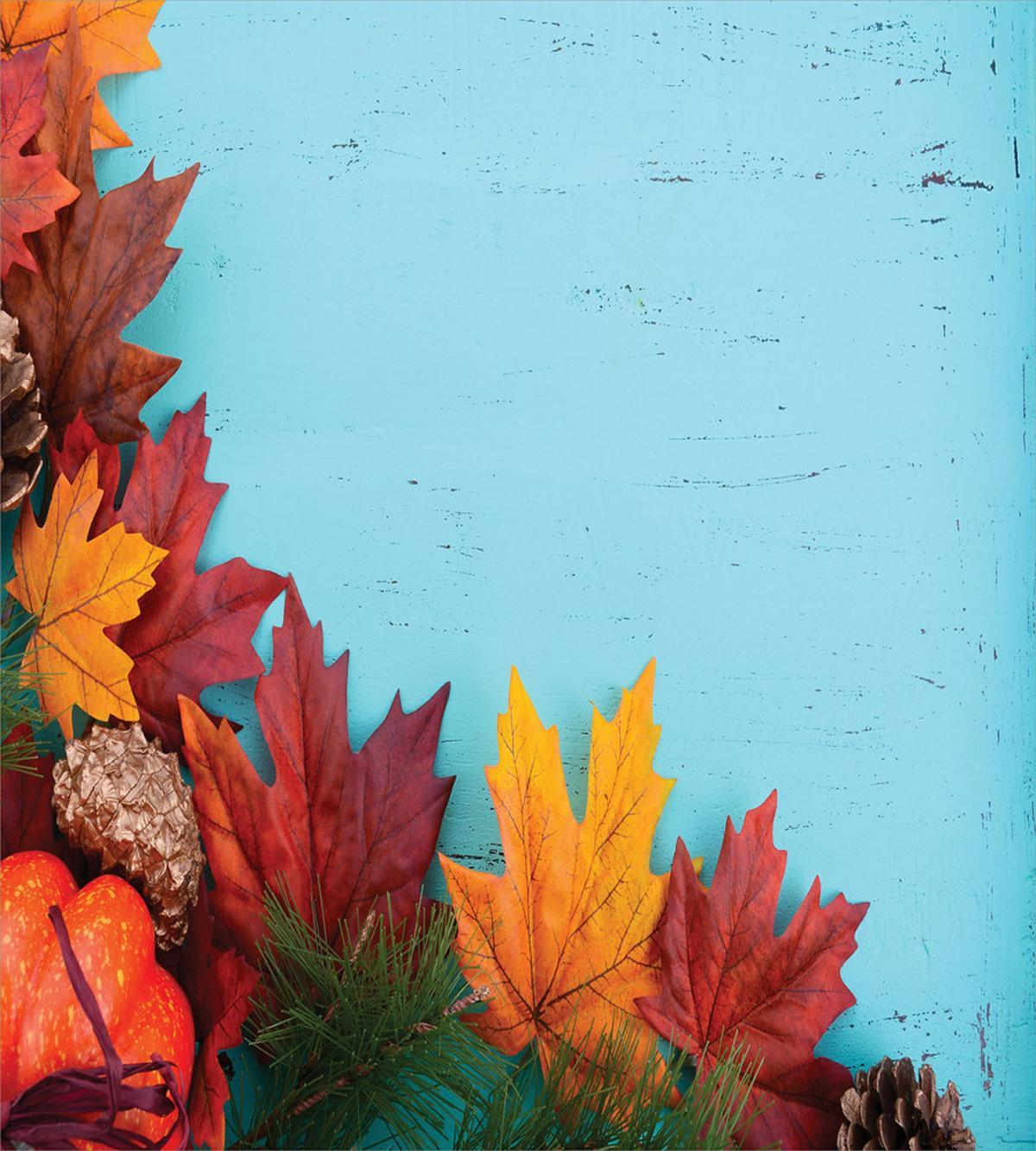 Canadian Maple Foliage — Pattern