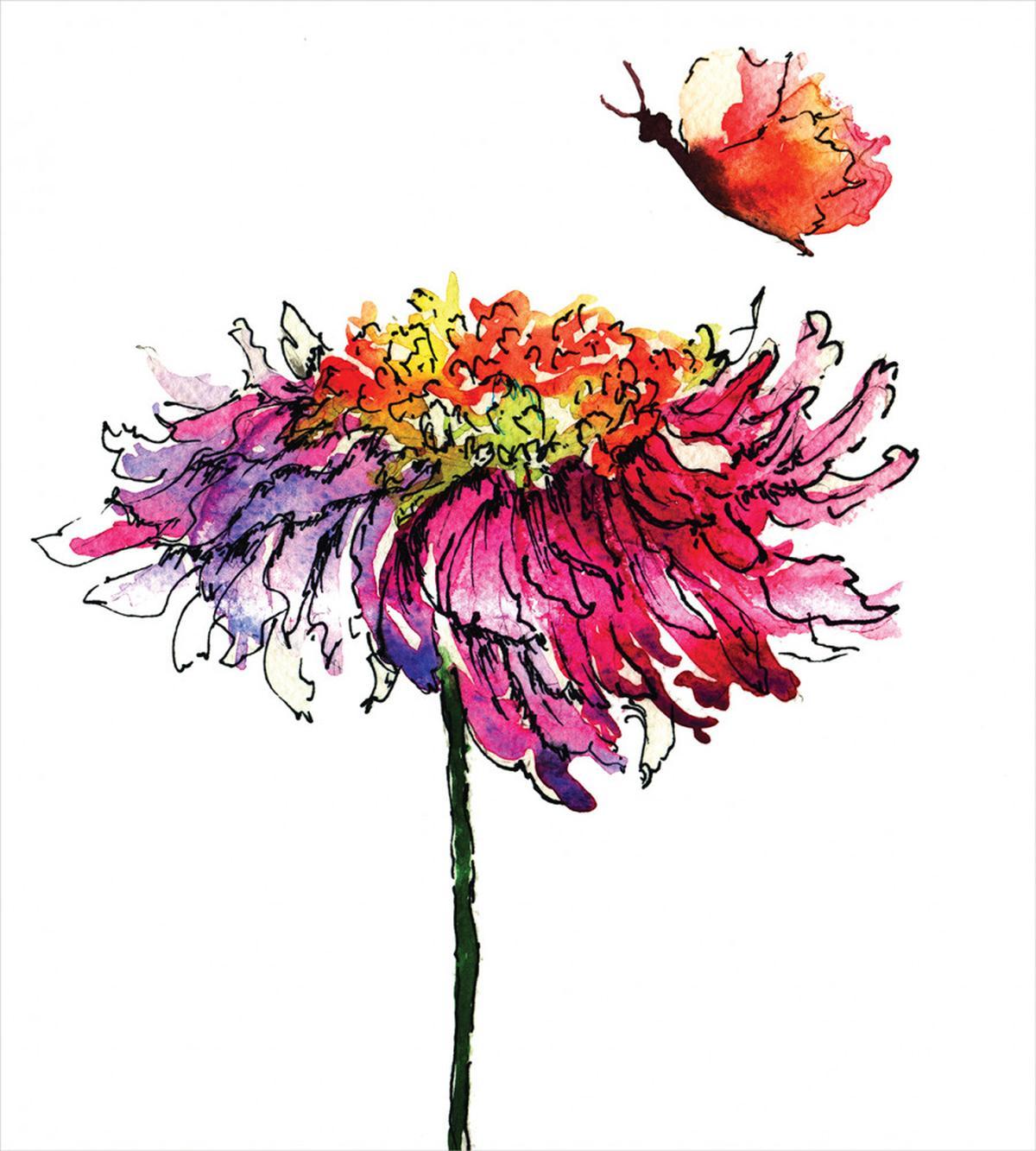 Chrysanthemum Flower — Pattern