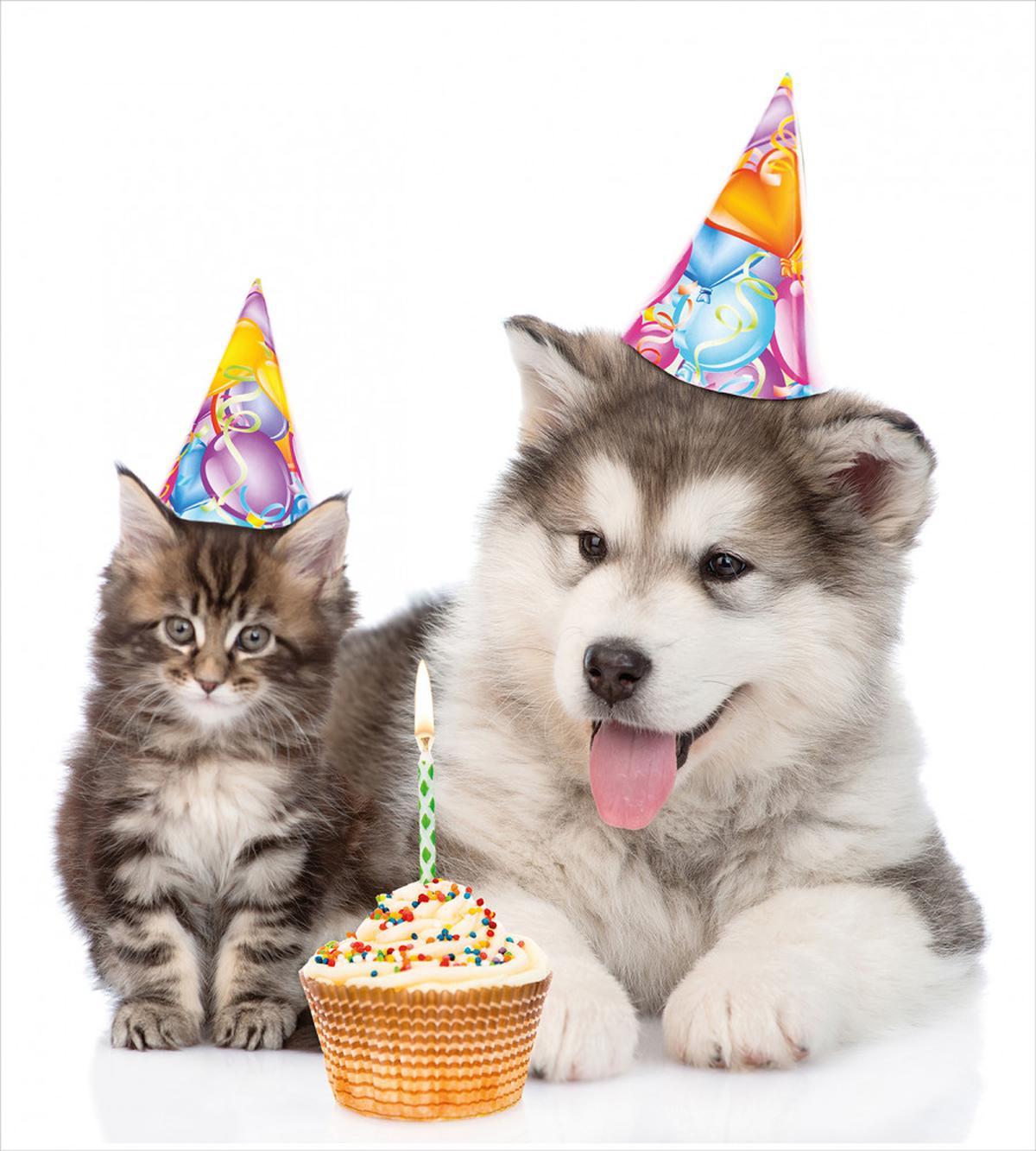 Birthday Party Cones — Pattern