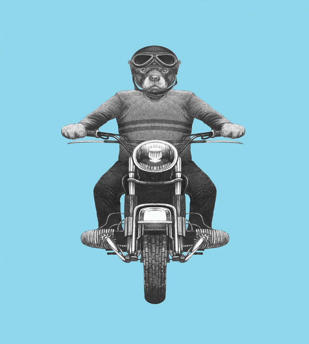 Dog Breed Riding Scooter — Pattern