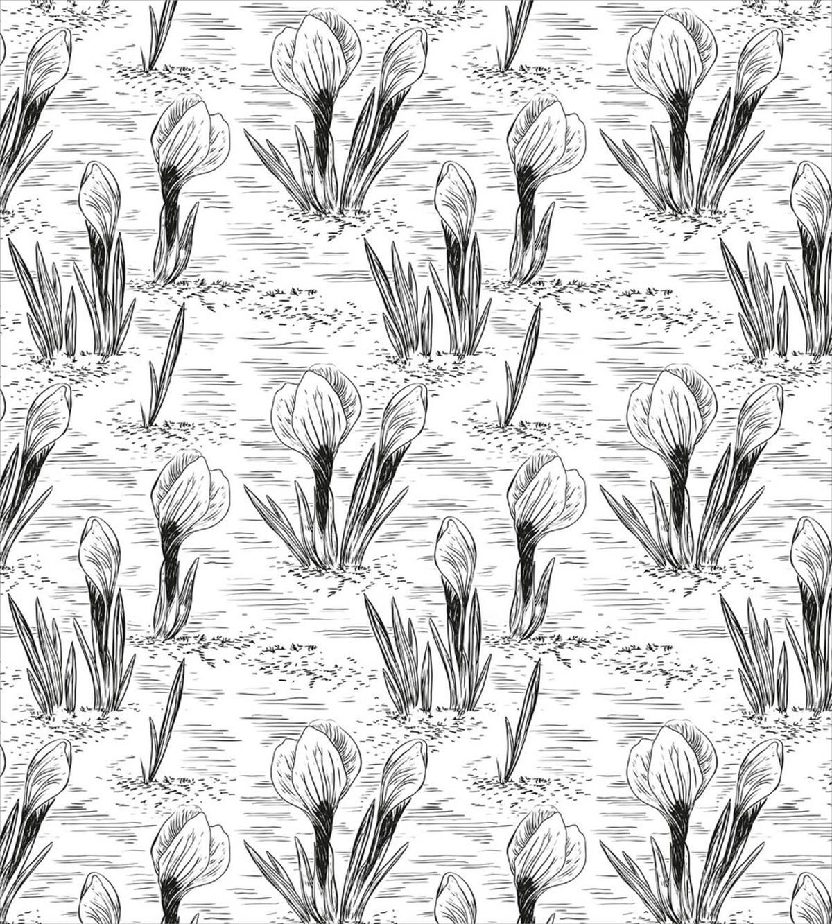 Retro Sketchy Crocus Flowers — Pattern