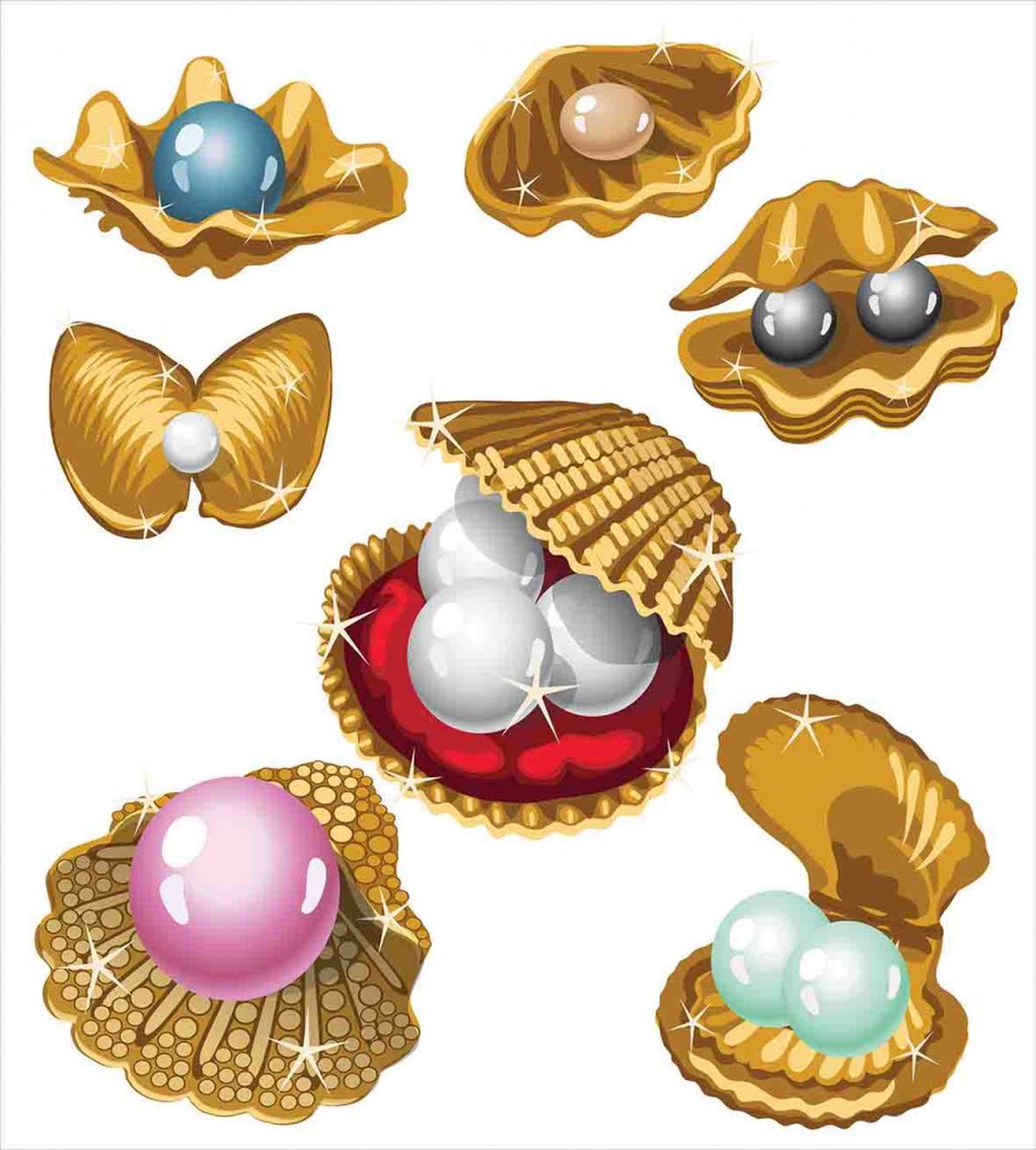 Open Shells Sea Image — Pattern
