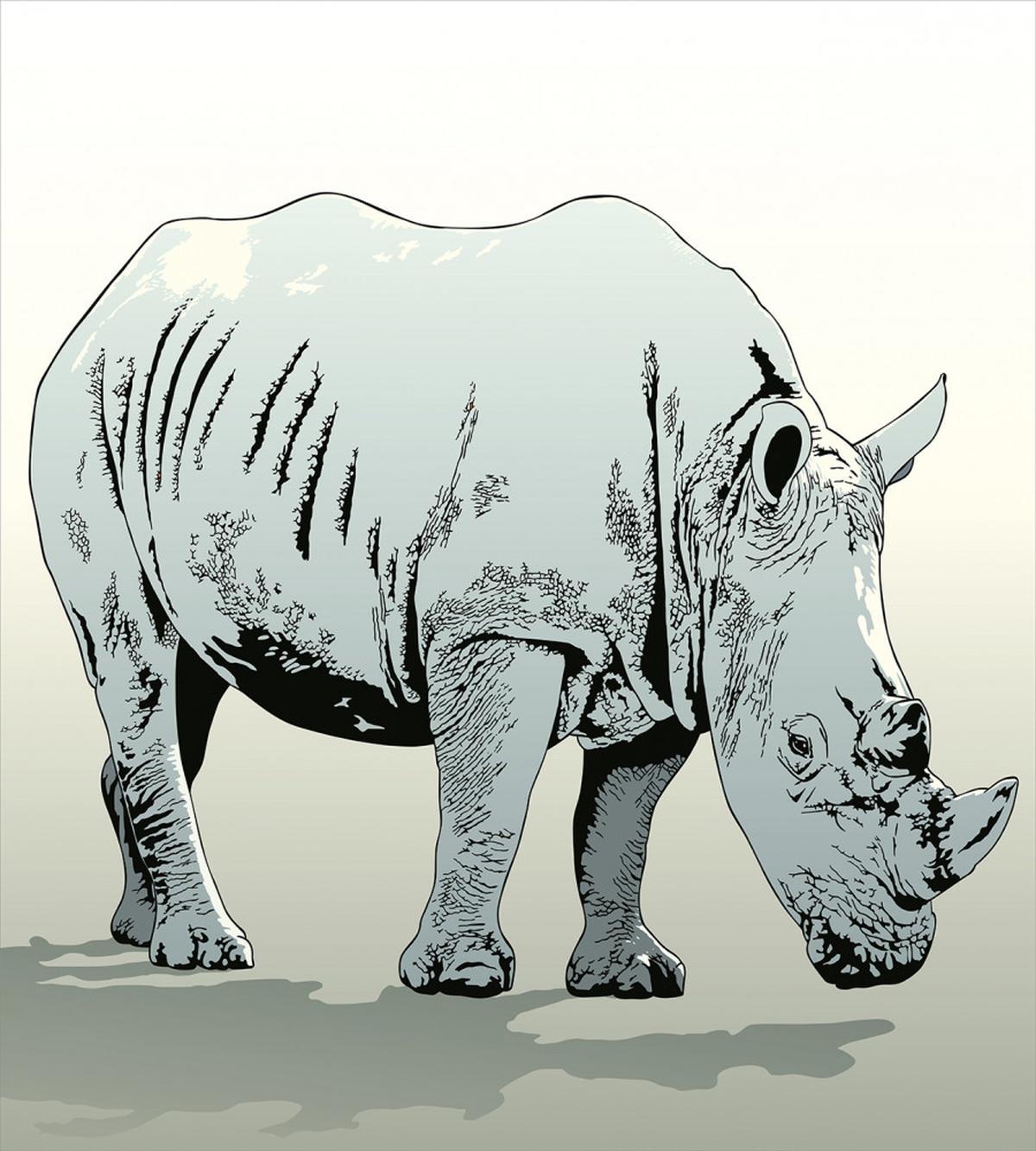 Rhinoceros Art — Pattern