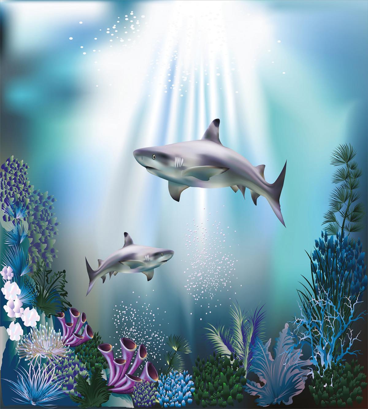 Sharks Coral Aquatic — Pattern