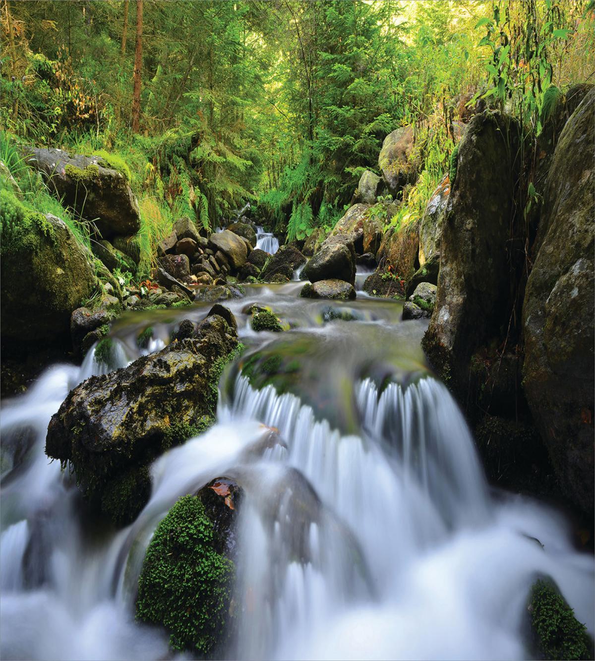 National Park Cascade — Pattern