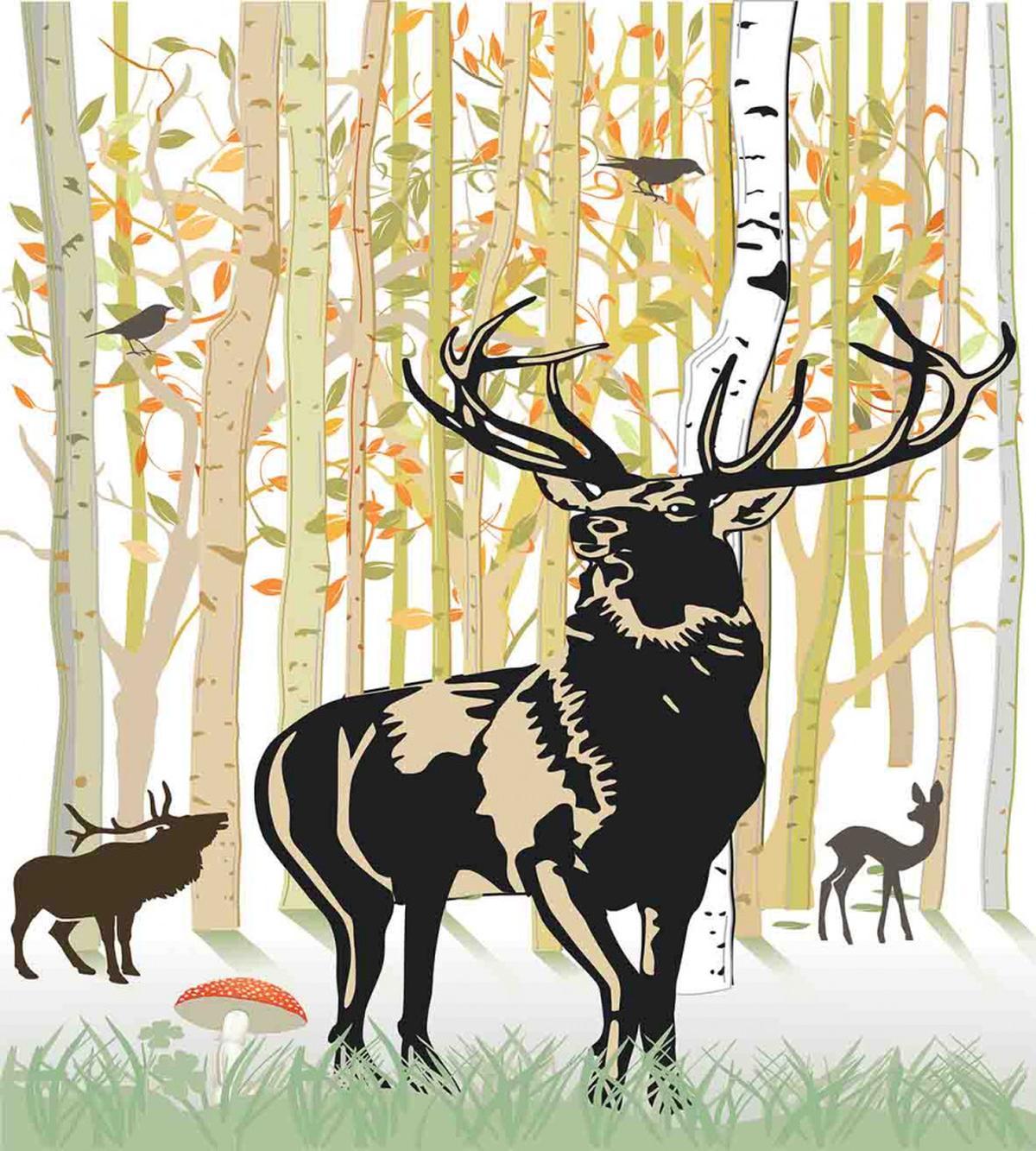 Autumn Forest Wild Animal — Pattern