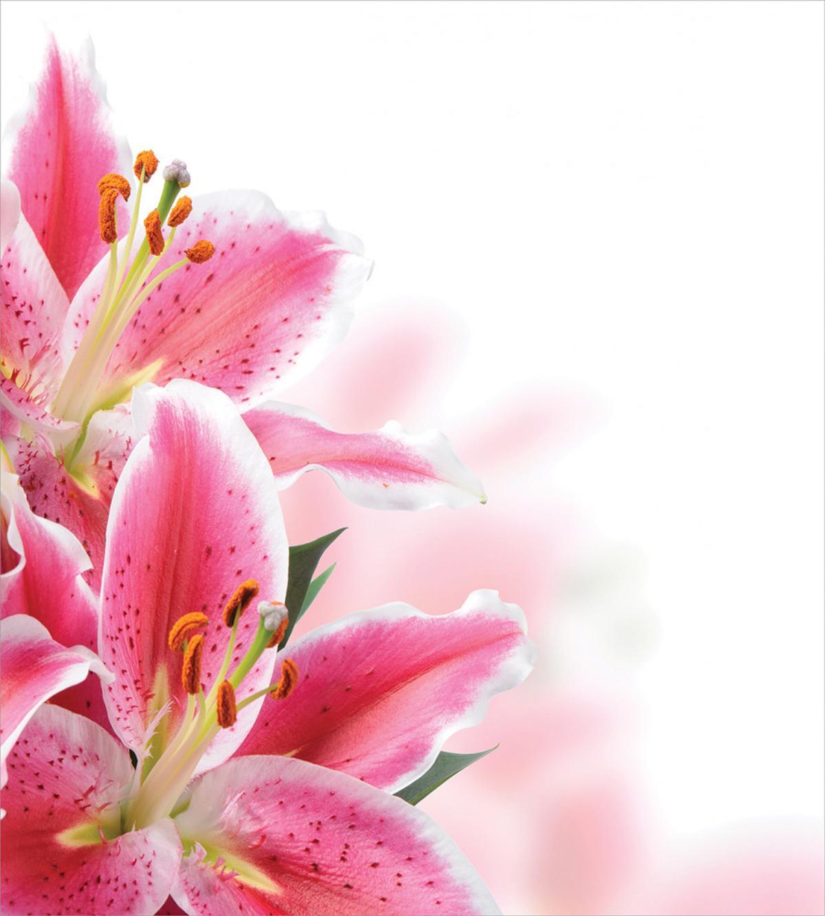 Lilies Bouquet — Pattern