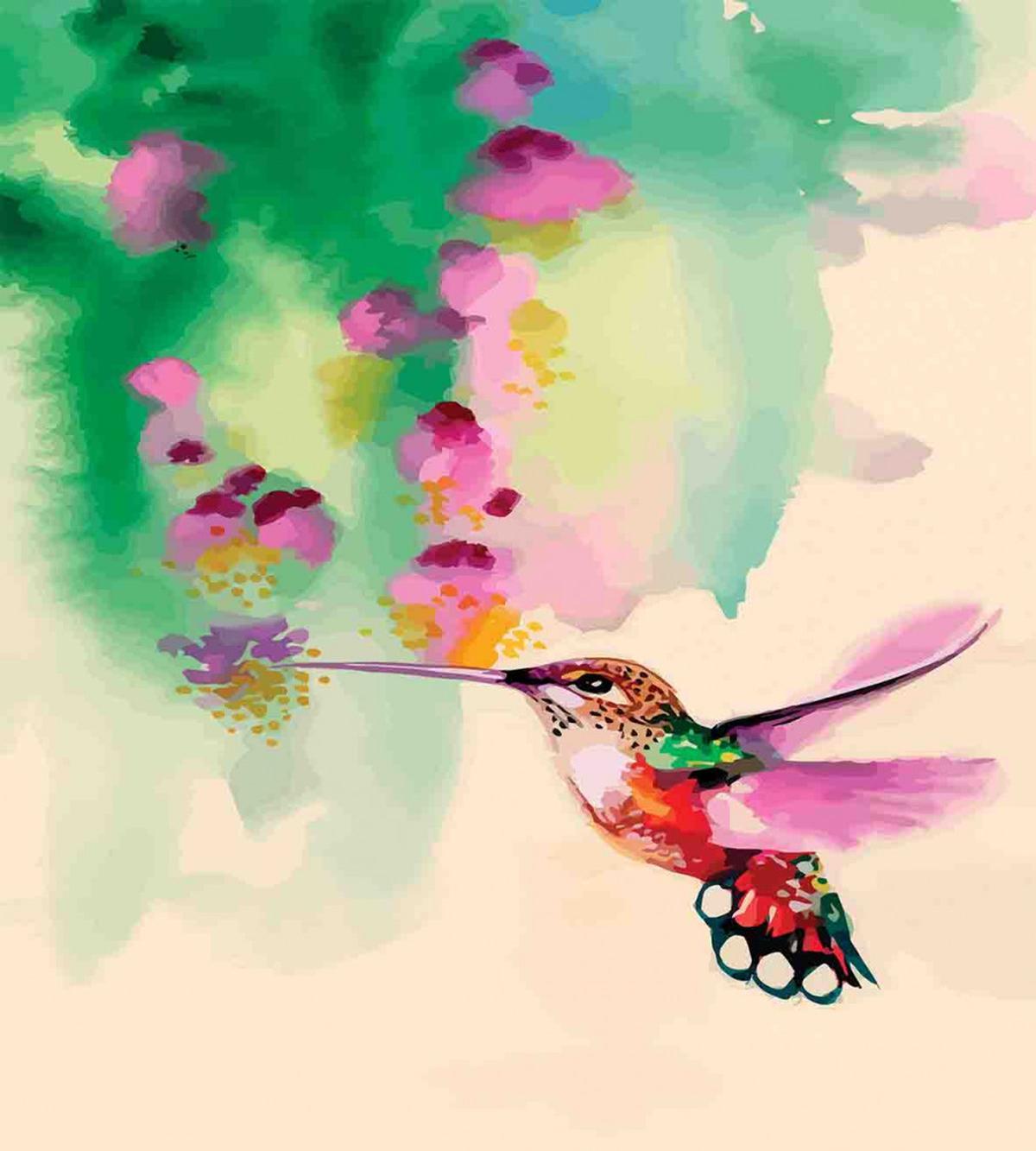 Colibri and Flowers — Pattern