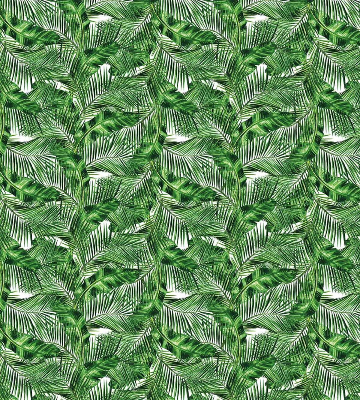 Tropic Plants Pattern — Pattern