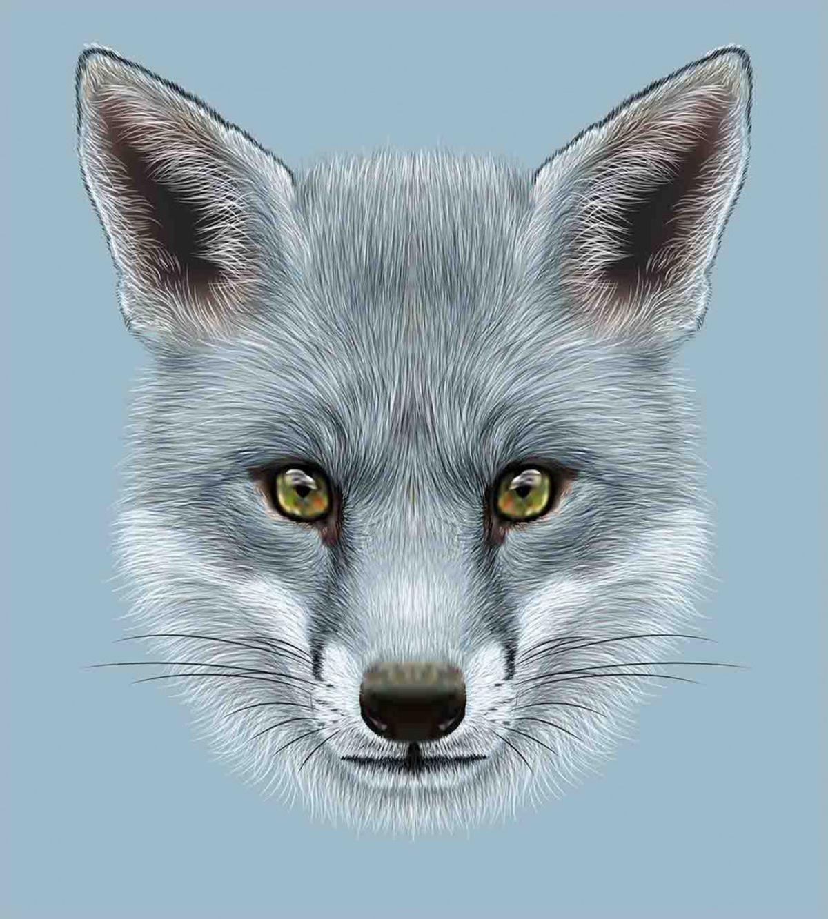 Fluffy Forest Creature — Pattern