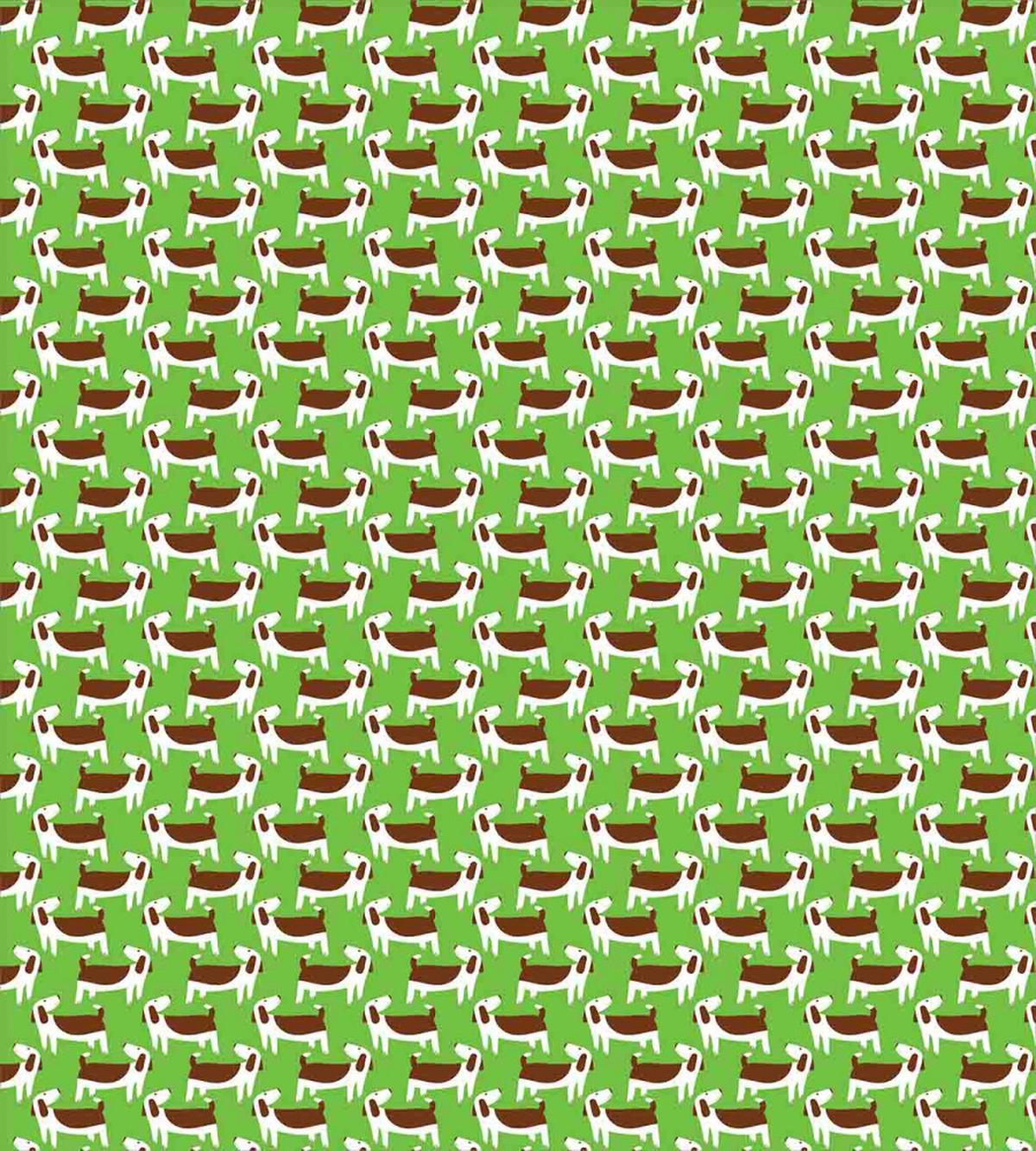 Brown and White Puppies — Pattern