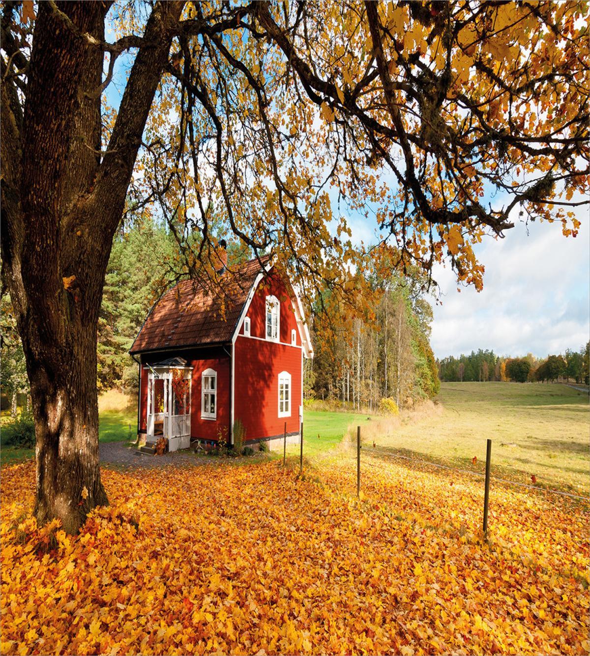 Red Swedish Country House — Pattern