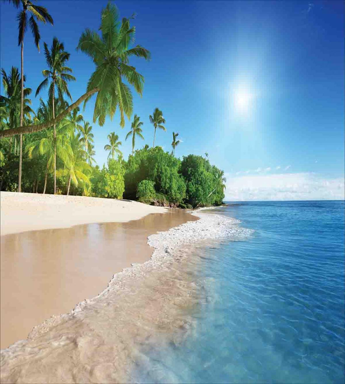 Suuny Ocean Palm Trees — Pattern