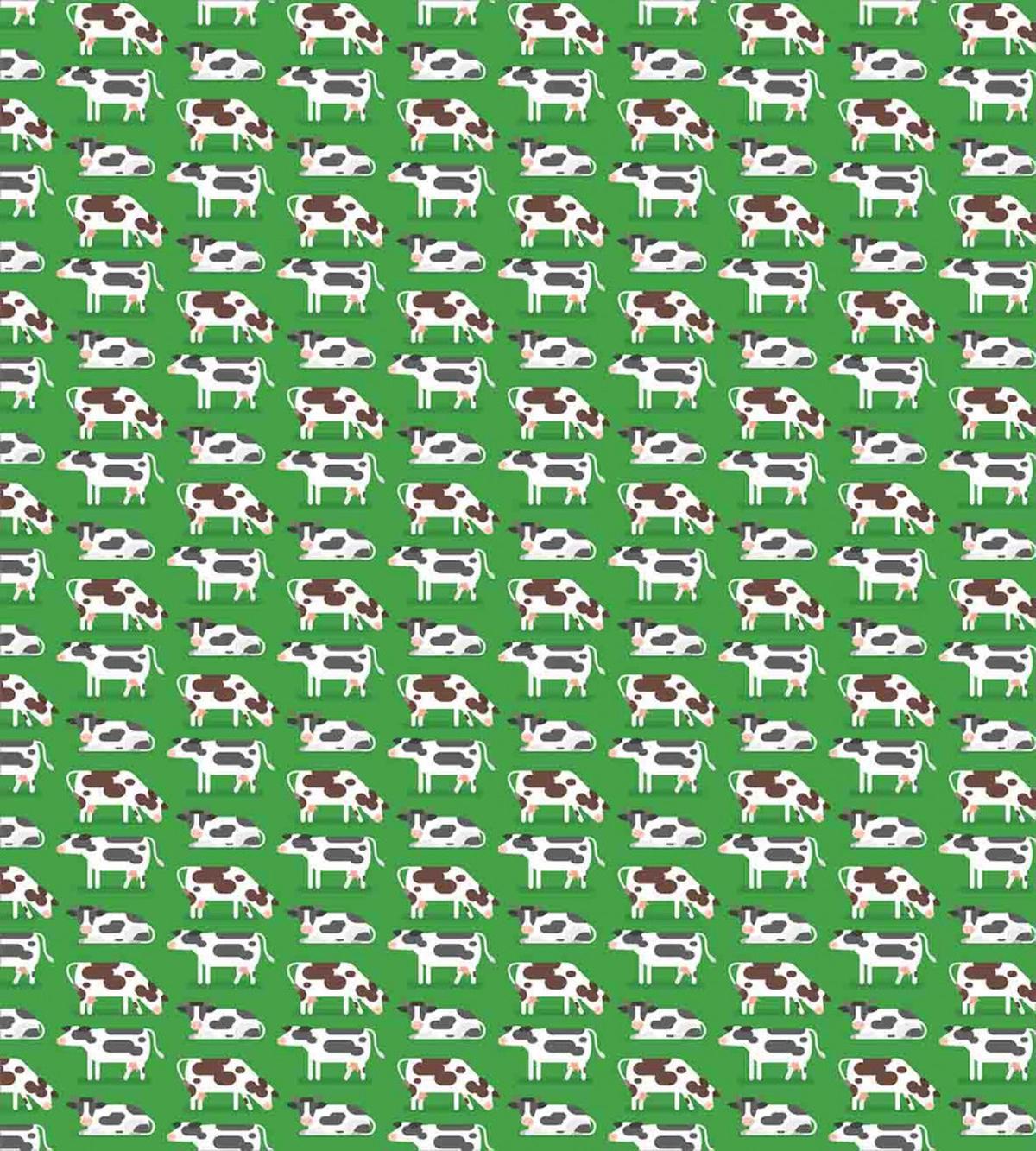 Graphic Sitting Cows — Pattern