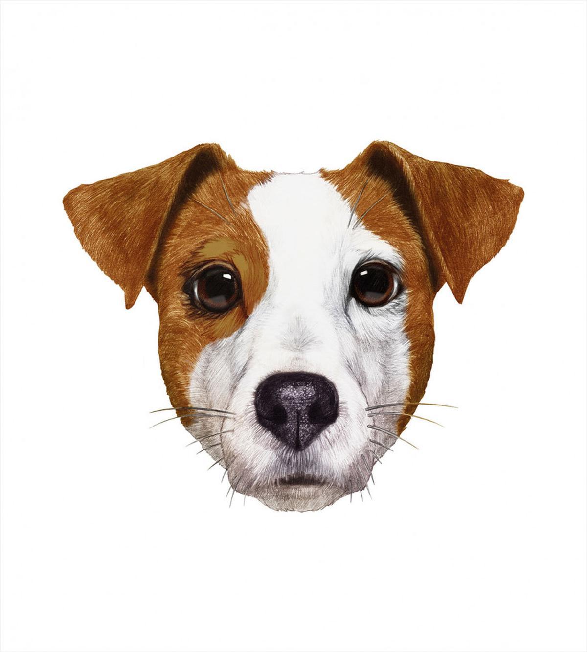 Hand Drawn Dog Animal — Pattern