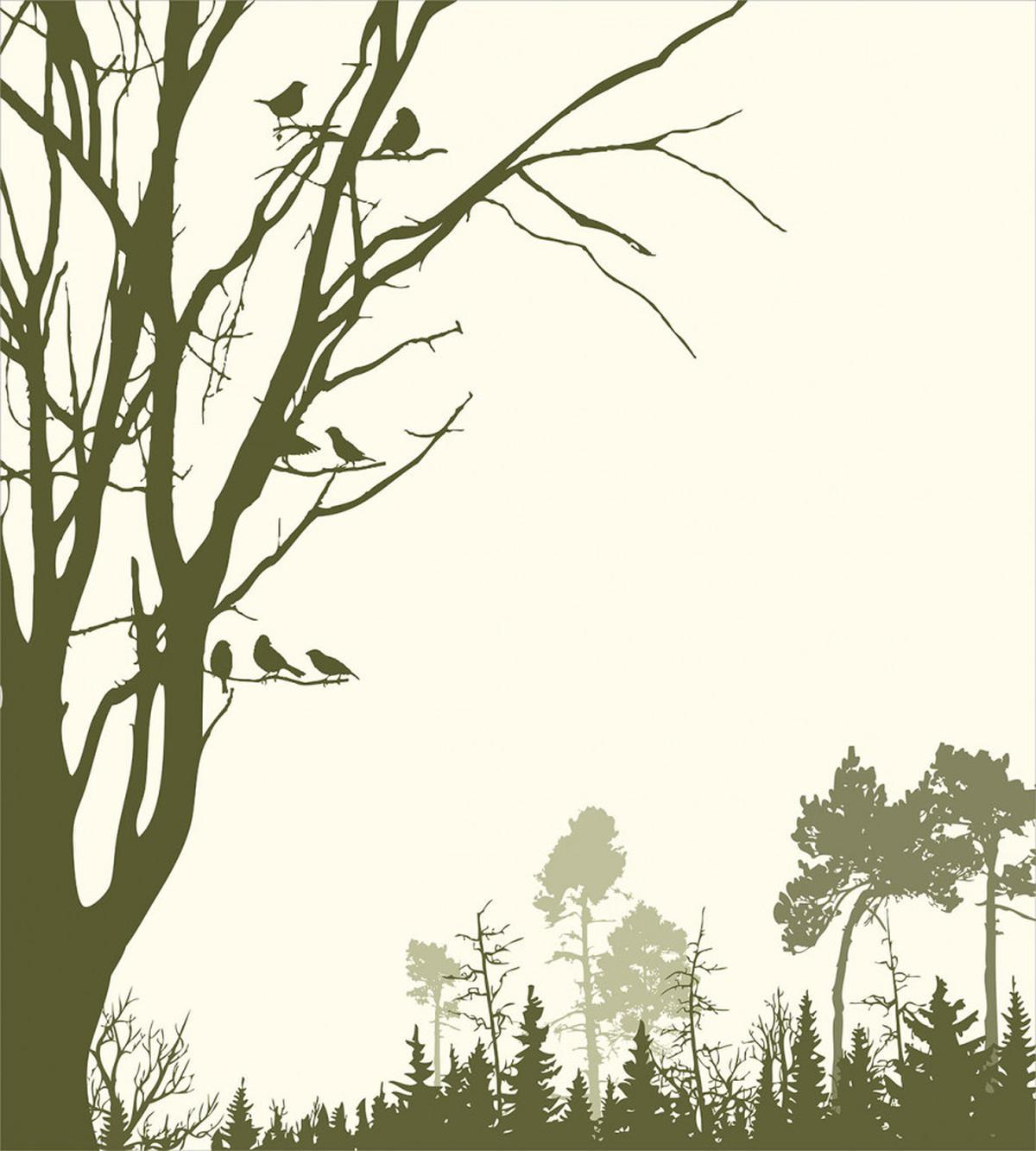 Forest Birds on Tree — Pattern