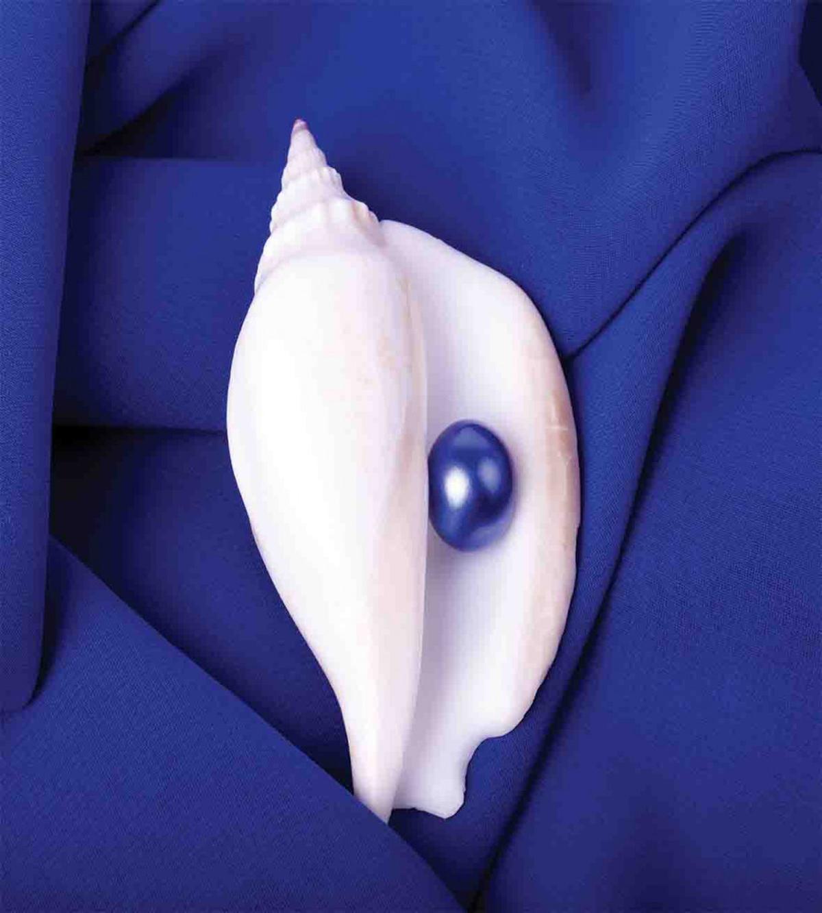 Shell with Pearl Ocean — Pattern