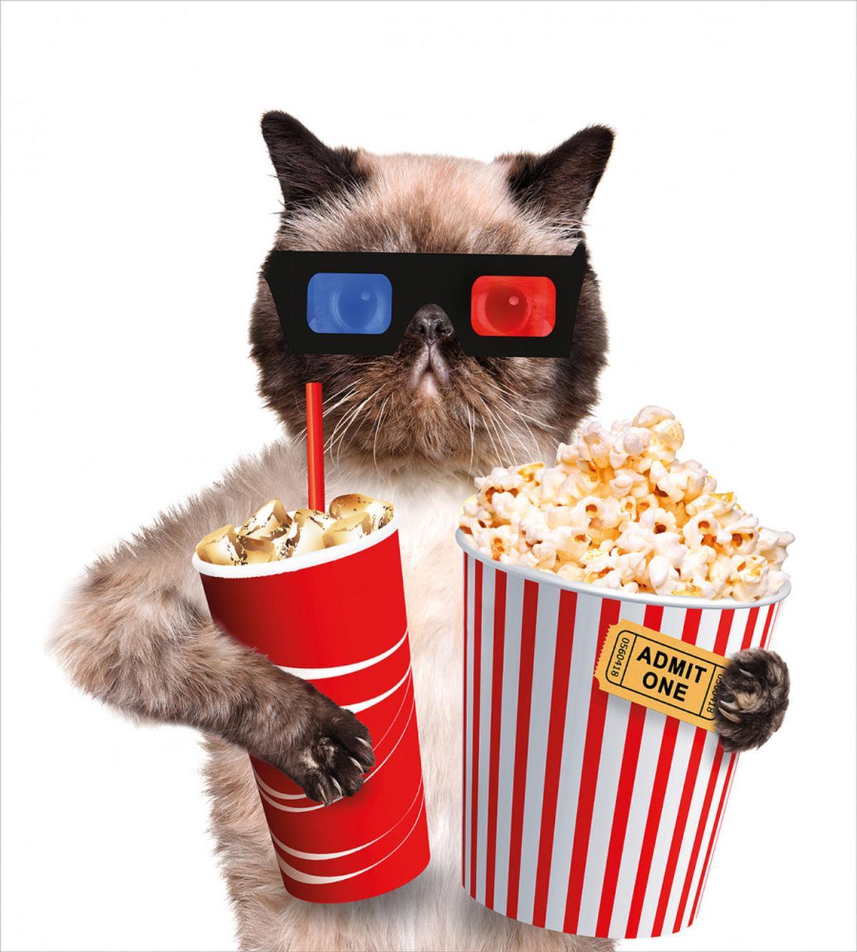 Cat Popcorn — Pattern