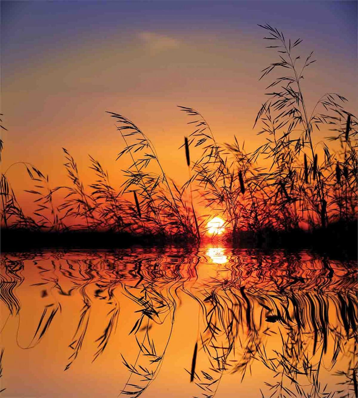 Lake Sunset Photo Scene — Pattern
