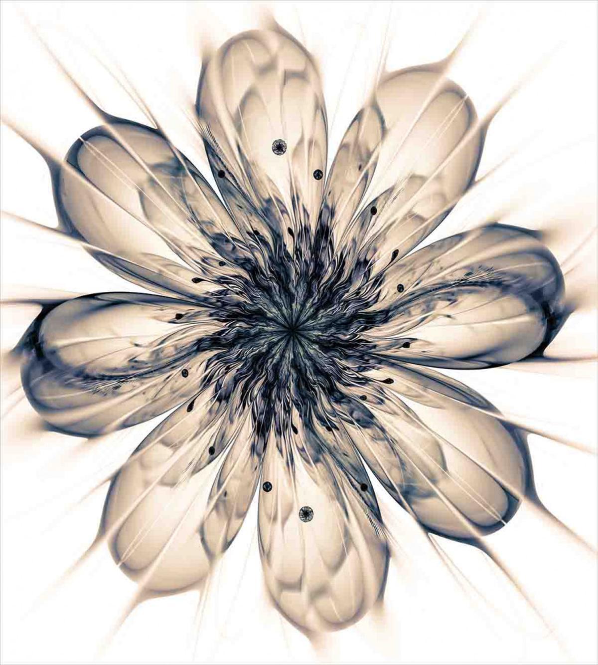 Close-up Fractal Flower — Pattern
