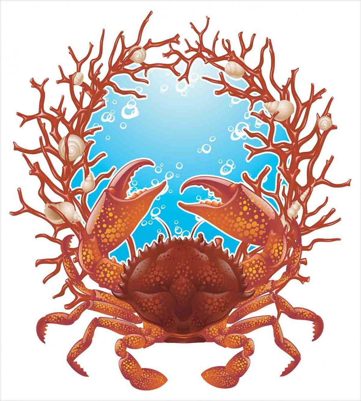 Seashells and Red Coral — Pattern