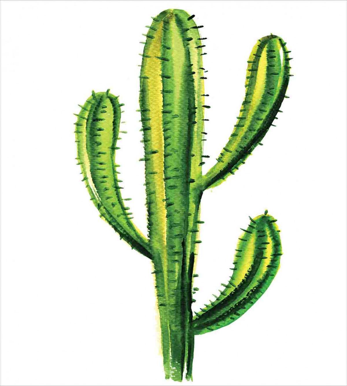 Mexican Cartoon Cactus — Pattern